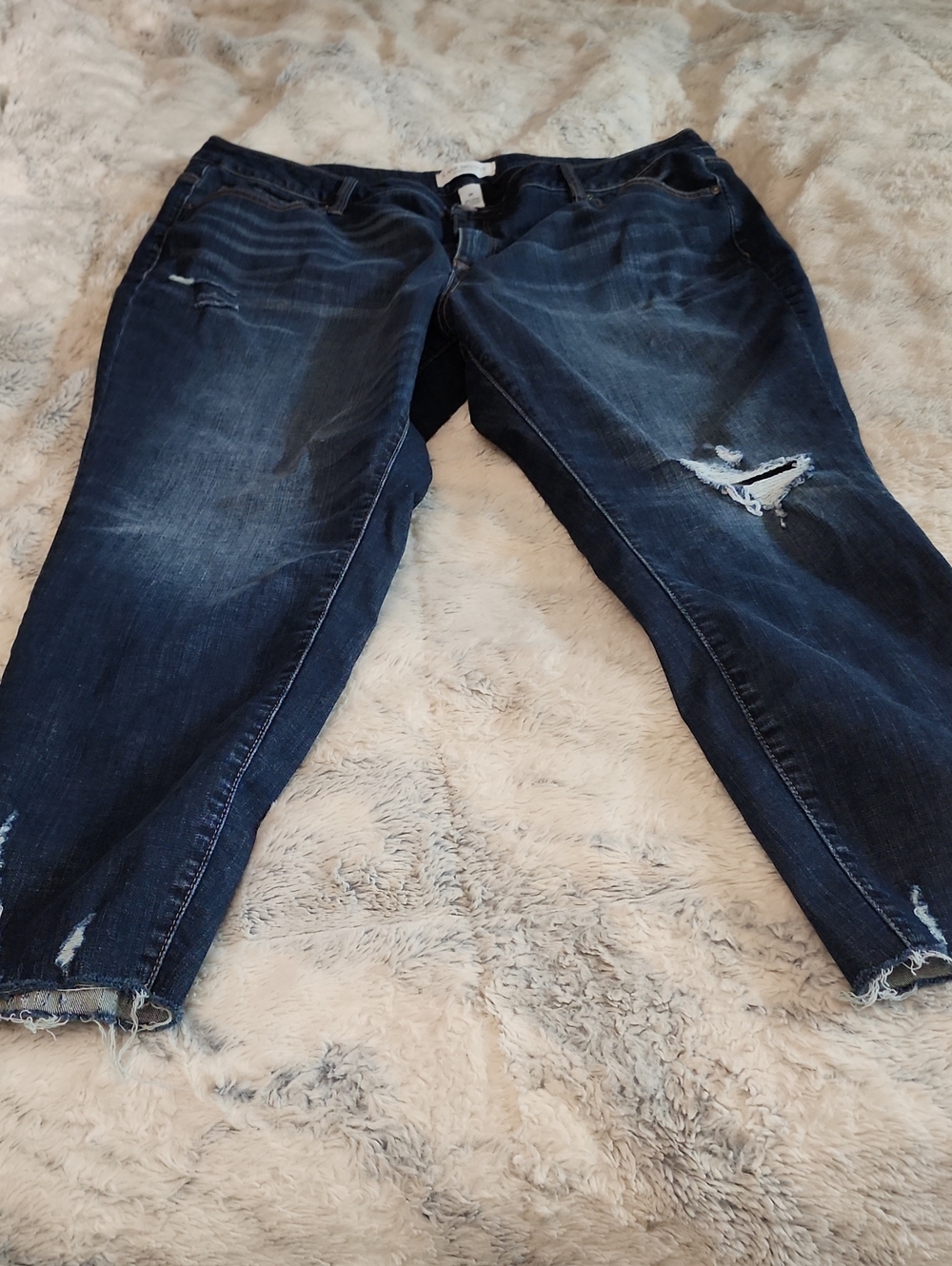Lane Bryant Jeans